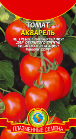 ТОМАТ АКВАРЕЛЬ