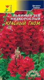 Львиный Зев Красный гном (Цвет.сад)