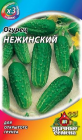 Огурец Нежинский (Гавриш) ХИТ