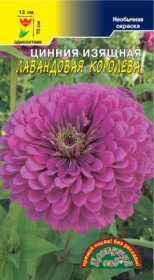 Цинния Лавандовая королева (Цвет.Сад)