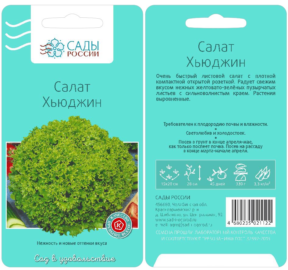 Green русский. Салат Фрилл Грин 2. Салат листовой Одесский Кучерявец. Сорт салат Кучерявец Одесский. Салат сорт Хьюджин.